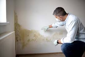 Glendale, MS Mold Removal Company